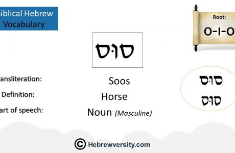 How To Say “Horse” In Hebrew