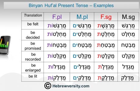 “Binyan Huf’al” Present Tense: Examples