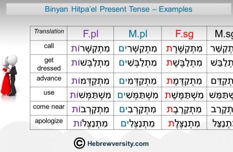 “Binyan Hitpa’el” Present Tense: Examples