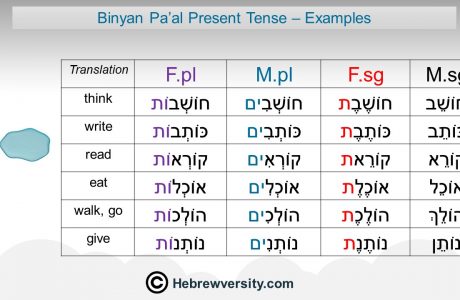 “Binyan Pa’al/Qal” Present Tense: Examples