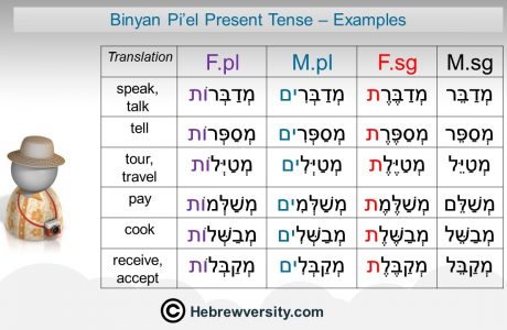 “Binyan Pi’el” Present Tense: Examples